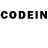 Псилоцибиновые грибы GOLDEN TEACHER Signa Priedite